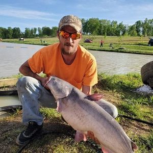 Meet your Posher, Dillion